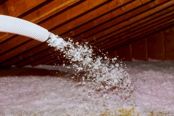 Best Insulation Maintenance and Repair in Anniston, AL