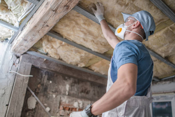 Best Specialized Insulation Services in Anniston, AL