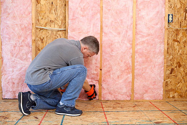 Best DIY Insulation Kits and Guidance in Anniston, AL