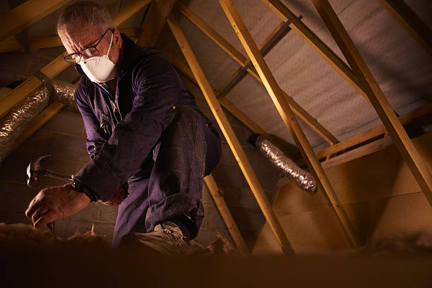 Best Blown-in Insulation in Anniston, AL